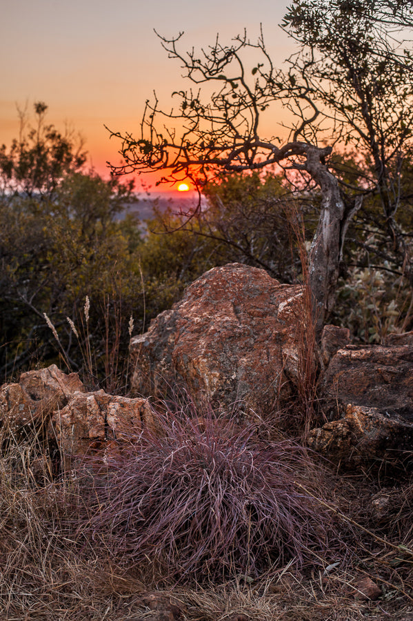 Rietfontein Nature Reserve