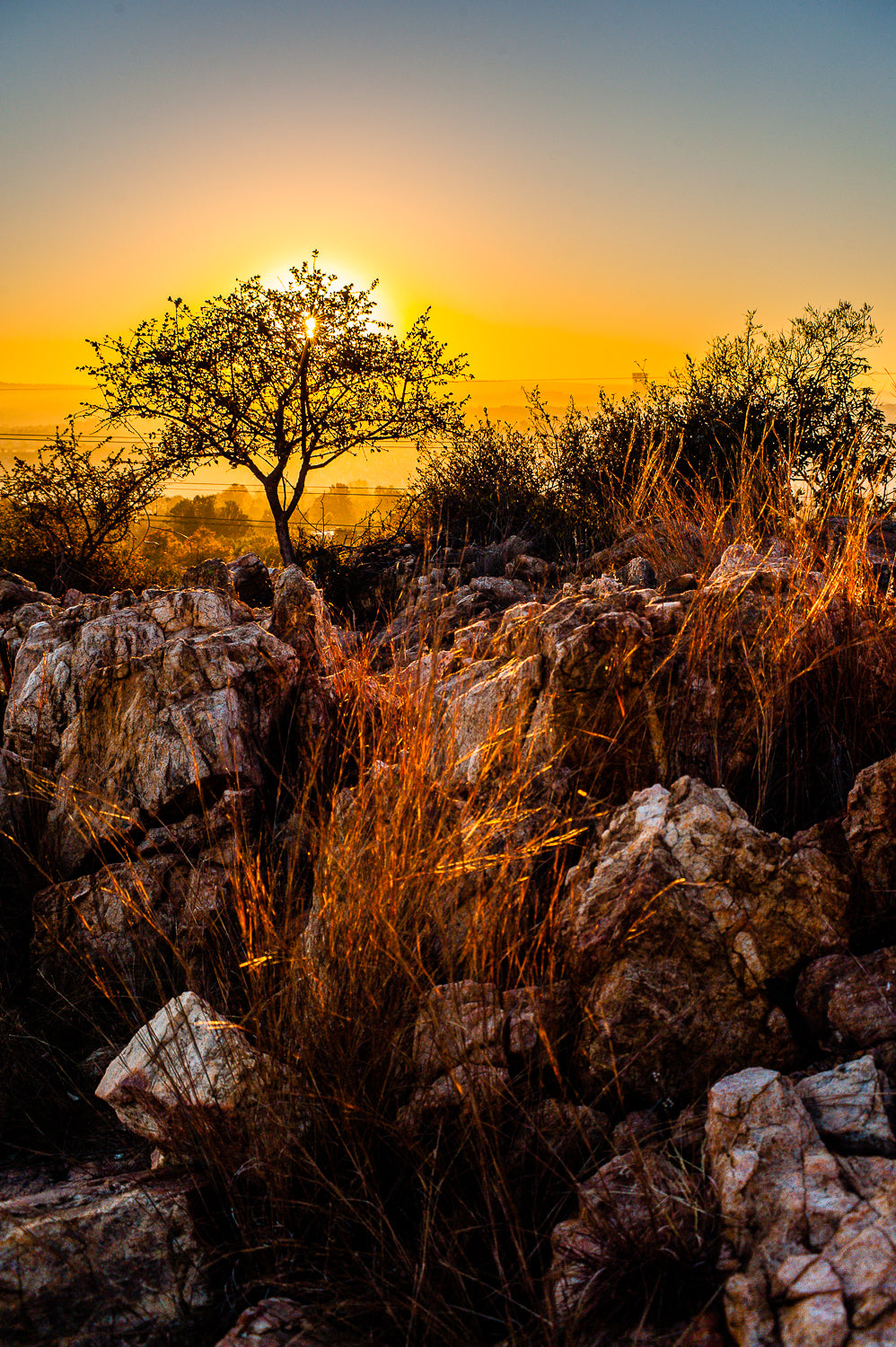 Rietfontein Nature Reserve