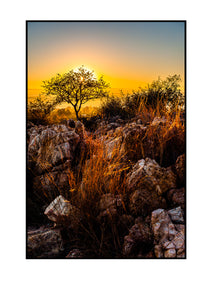 Rietfontein Nature Reserve